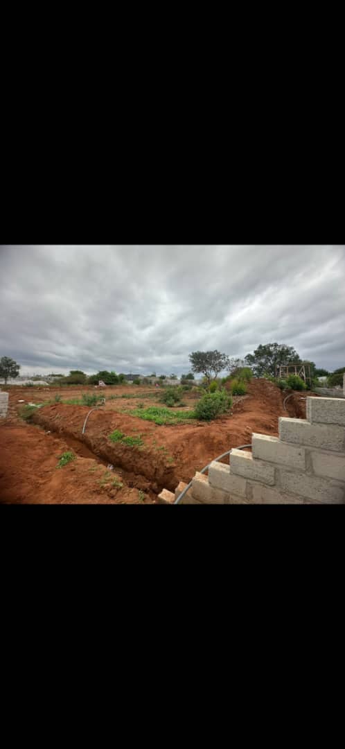 Subdivision Plots